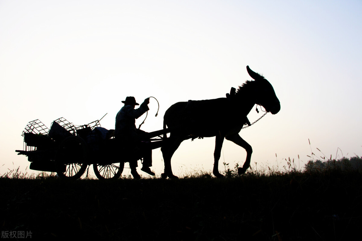 王志文主演的《黑冰》中最经典的台词（浅析）