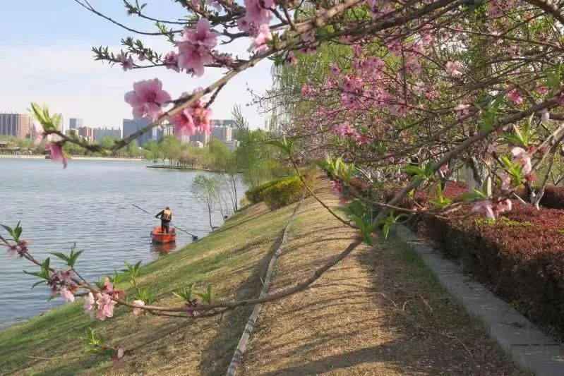 线上展览|“劳动最光荣”主题摄影作品线上图片展（十五）