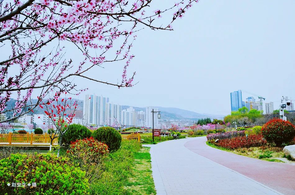 疫情挡不住春天的脚步，小编带你去看古城秦州的春暖花开