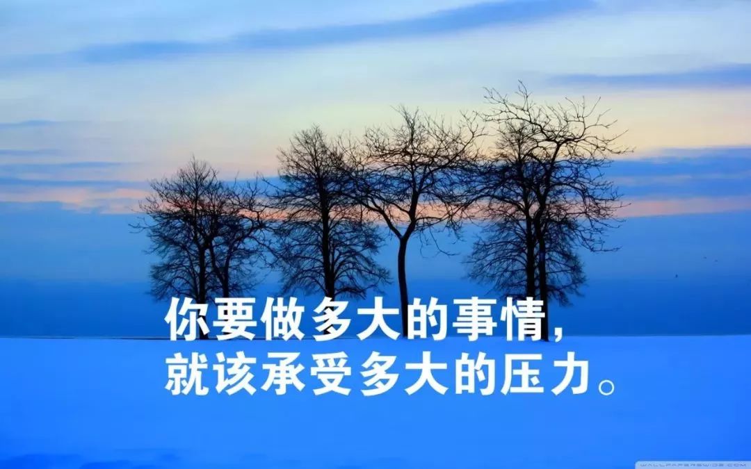 周二早上好满满正能量语录 愿山河无恙、人间永无疫图片