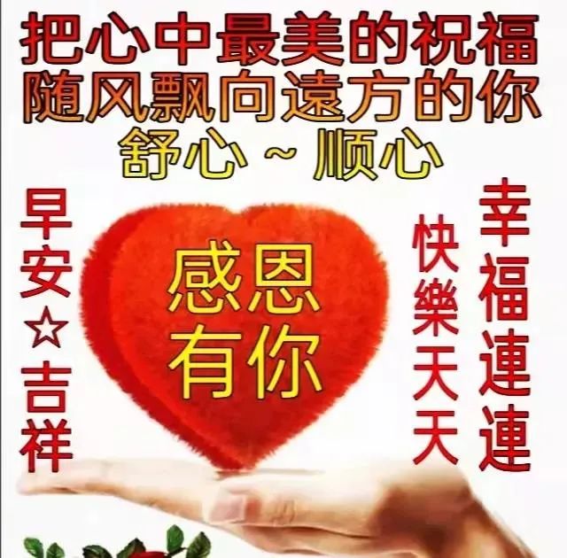 风轻月自明，多一份淡然，你就多了一份豁达与从容，早上好