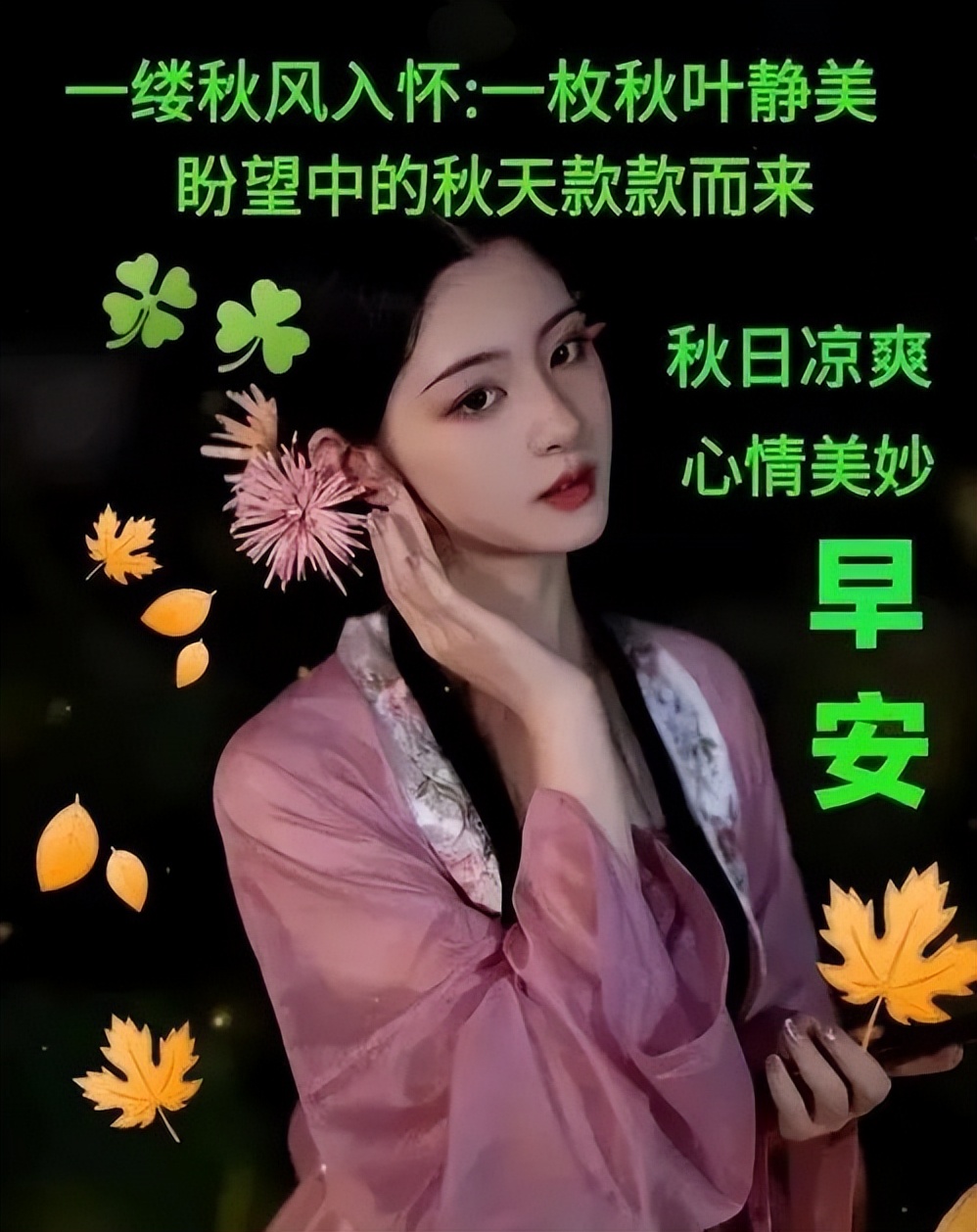 早上好动态祝福 微信最美早上好图片 送你一朵长寿花，祝你长寿不老图片