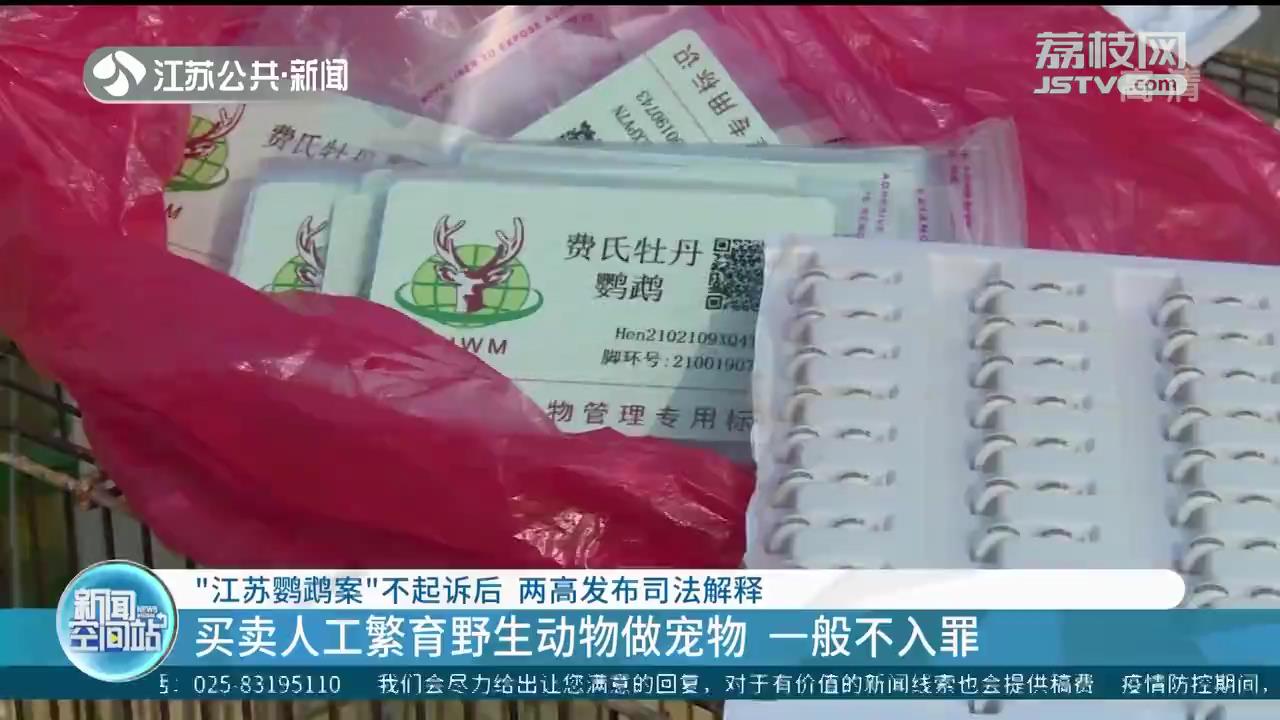 “江苏鹦鹉案”不起诉后 两高发布司法解释：买卖人工繁育动物一般不入罪