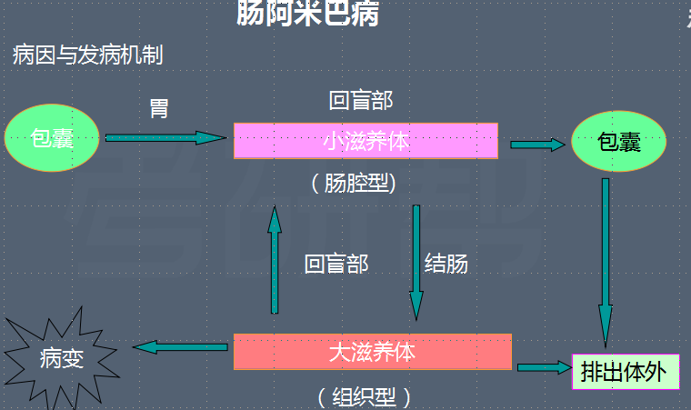 「玫子科普」治疗腹泻有3种方式，还需注意这4个误区