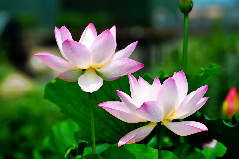 反省自己，是一个人变好的开始