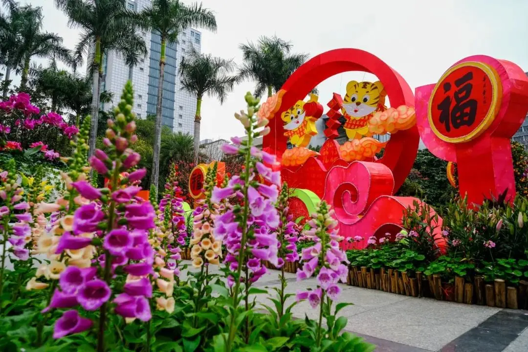 广州过年超详细游玩攻略!打扮漂亮出去玩(送票)