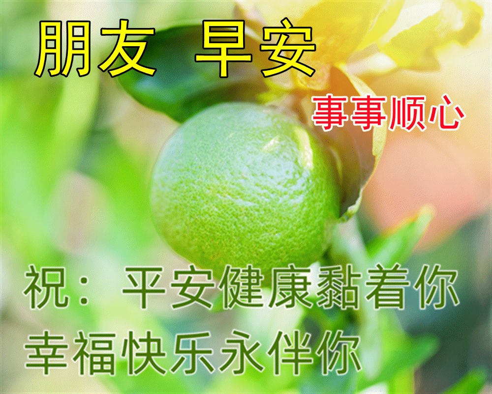 清晨暖心的早安问候祝福语短信 最好的快乐是平安 最好的平安是健康图片