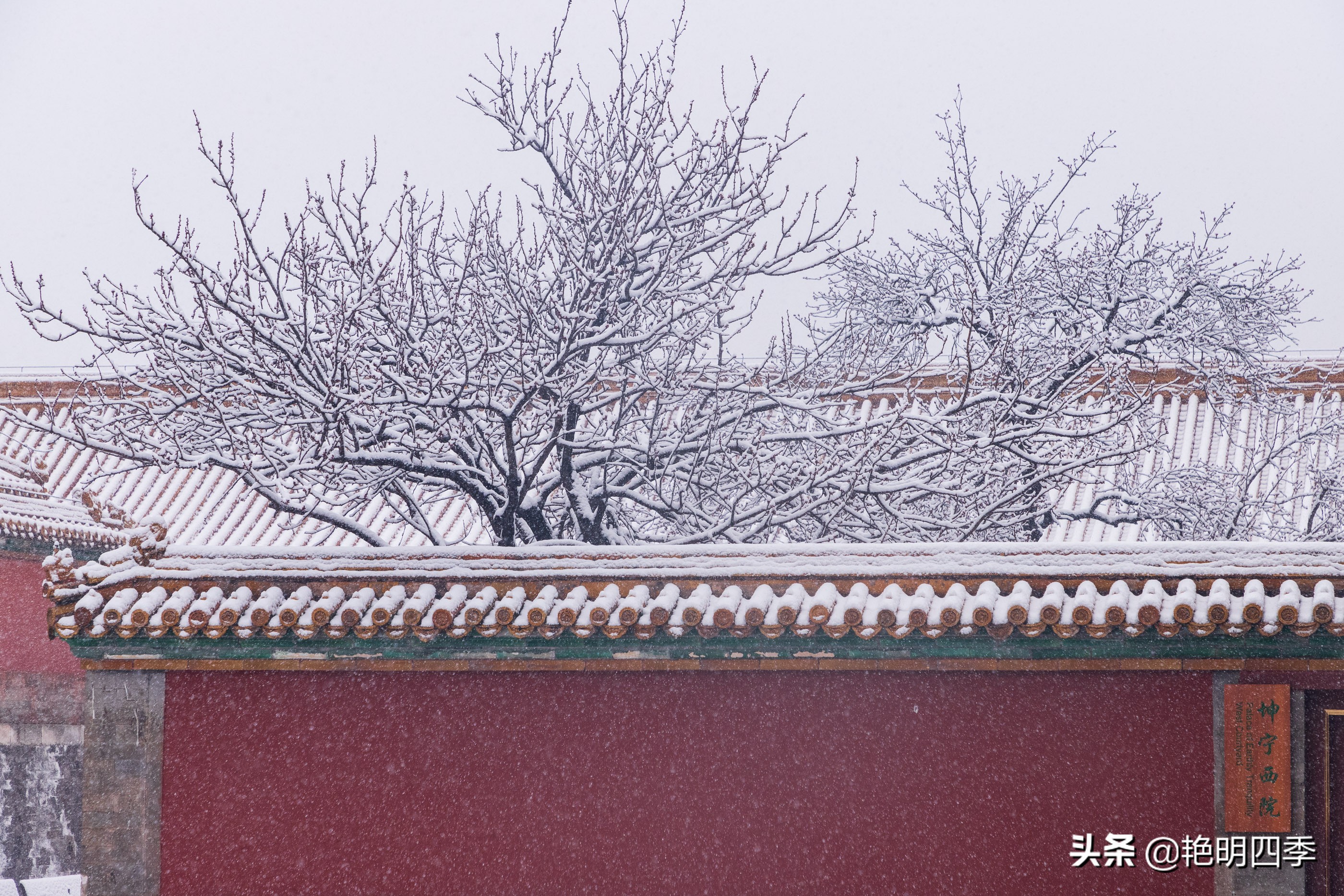 春天里，在紫禁城看一场大雪，与冬天做一个郑重的告别