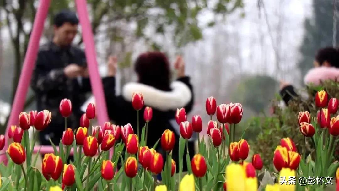 企业所得税汇算实务：现金折扣的财税处理与税务风险管控