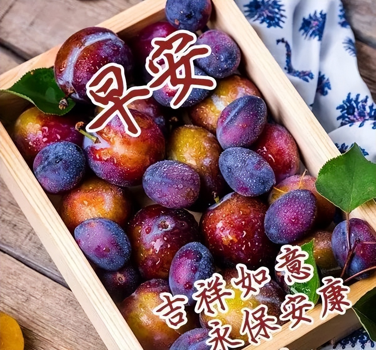微信早上好图片大全 早上好鲜花图片 过好充实的今天就有美好的明天图片