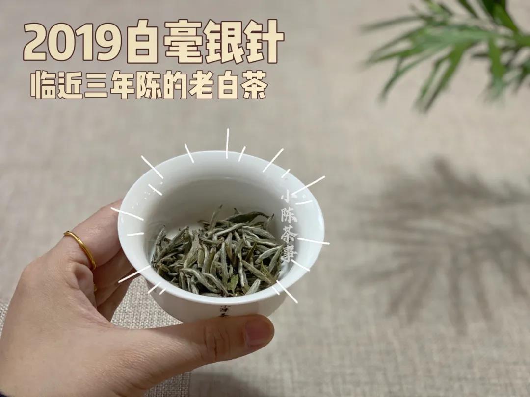 200元一斤的白毫银针，网上捡漏买的，是真幸运？还是智商税？