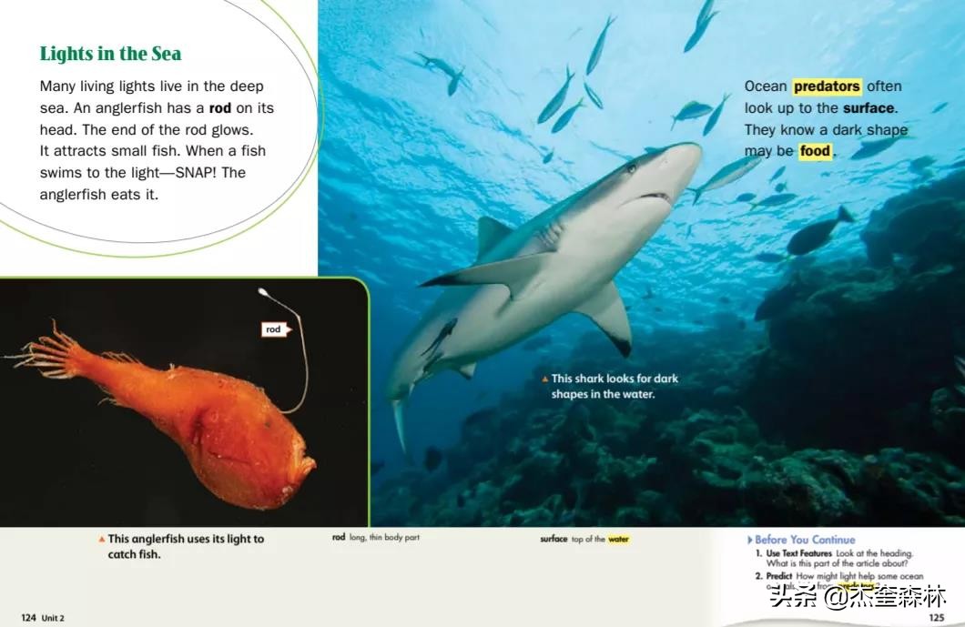 Reach Higher，风靡美国和国际学校的英文教材及300+外教视频