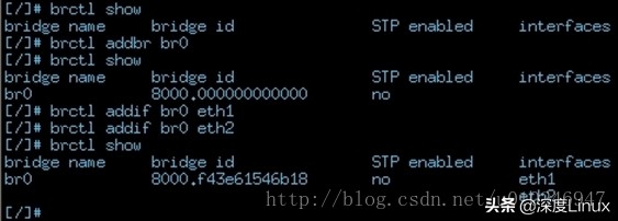 网桥、vlan、源目MAC地址的链路层处理