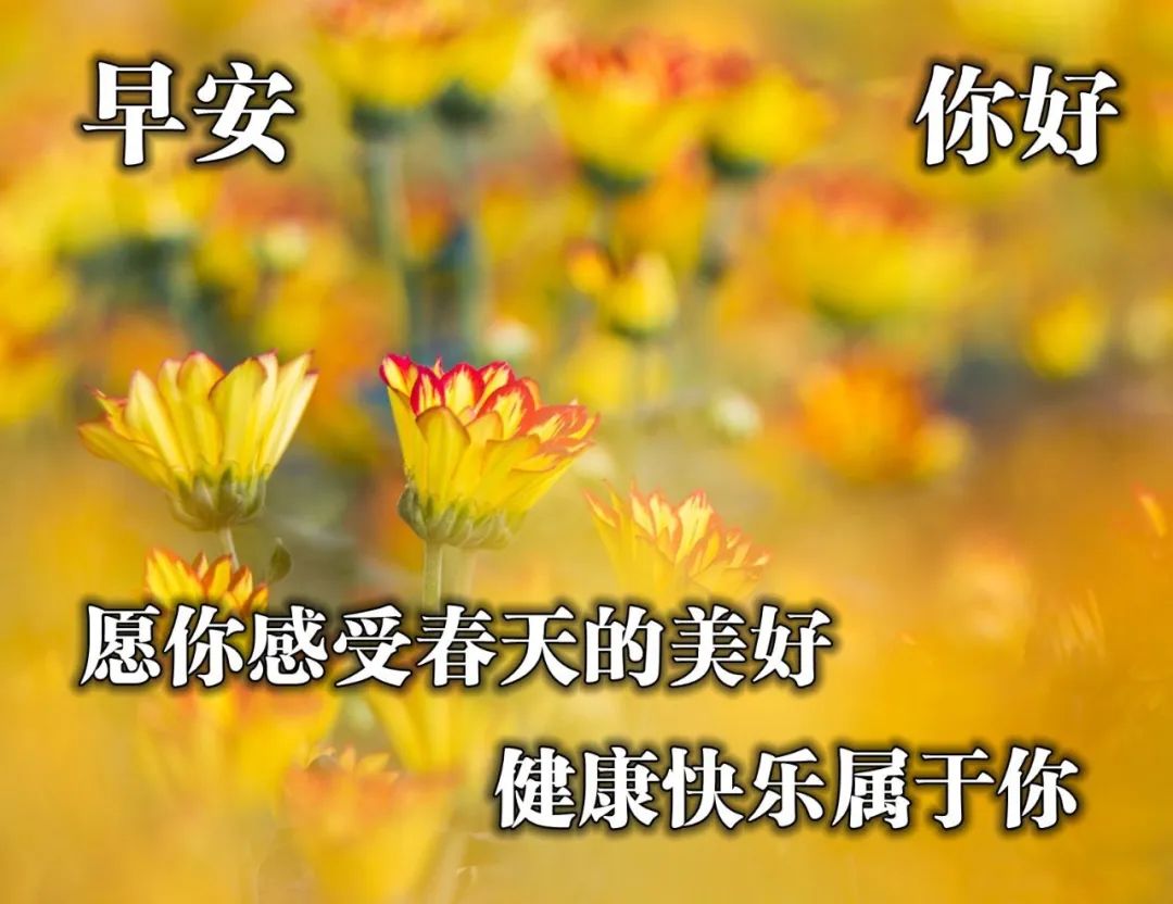 非常温馨的早上好祝福语，新周早安，心宽最富有图片