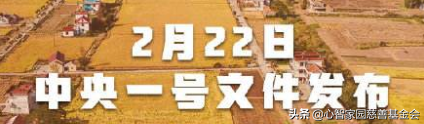 心康护童｜走进困境娃内心世界，启迪心智，引领成长（三）