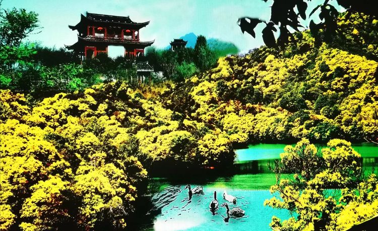 在这里，看徽韵之美 摄影/马堪岱 诗文/李武兵
