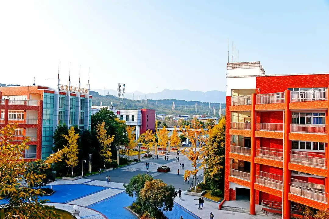 「单招专业解读」教育与体育类专业最全解析来袭