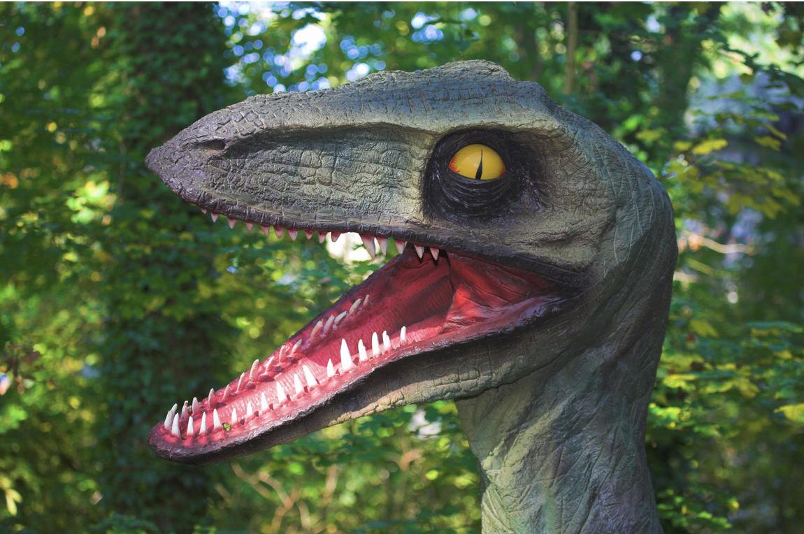 灭绝多年的生物频繁出现，地球怎么了？科学家面露担忧之色