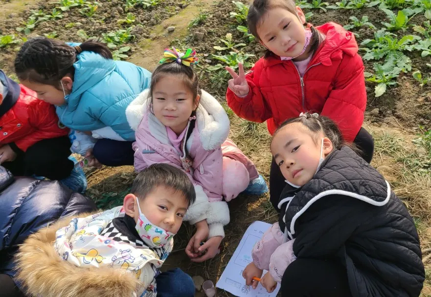 节气深耕·成都高新区朝阳小学冬至节气主题活动日