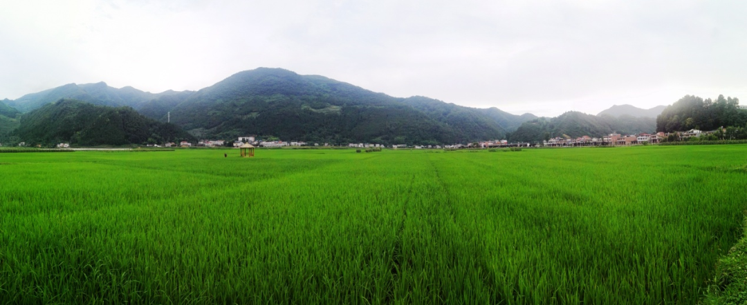 漢中網(wǎng)紅“陜南民居村寨院落”，快去打卡！