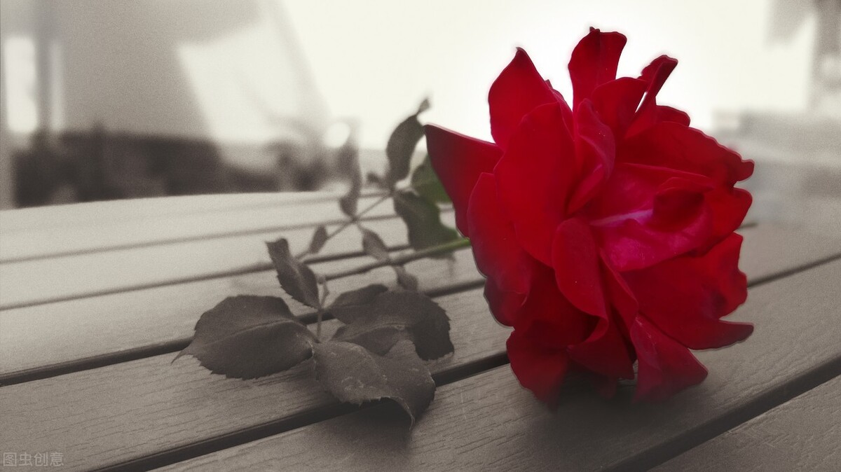 天涯各安，相思绵绵，见或不见，想你永远