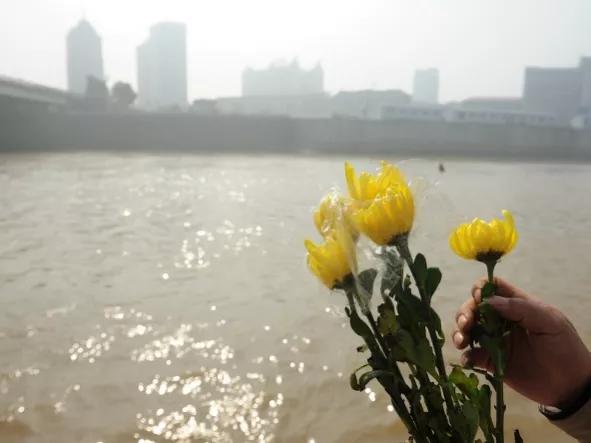 杨柳菊花寄哀思,天上人间心相牵