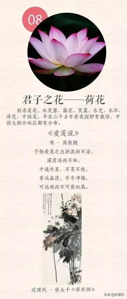 中国十大名花,您都知道吗?