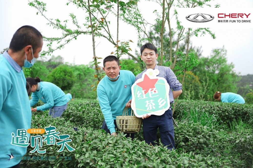 乐享奇程 | 花艺美学季，在田野花间，享受美好旅途