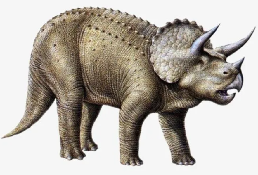 恐龙统治了地球1亿7千万年,却没进化成高等智慧生物,为什么?