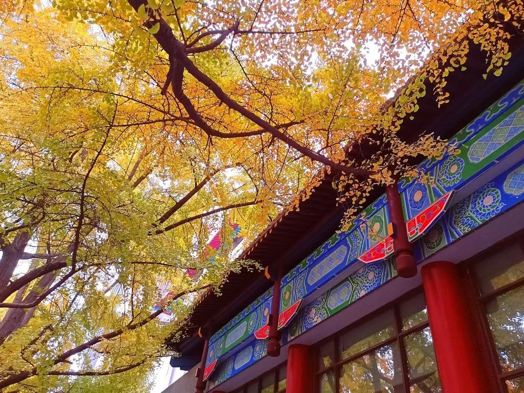 创“全球首个”，培养70位院士，走出开国元勋！四川大学又一“高超技艺”曝光！