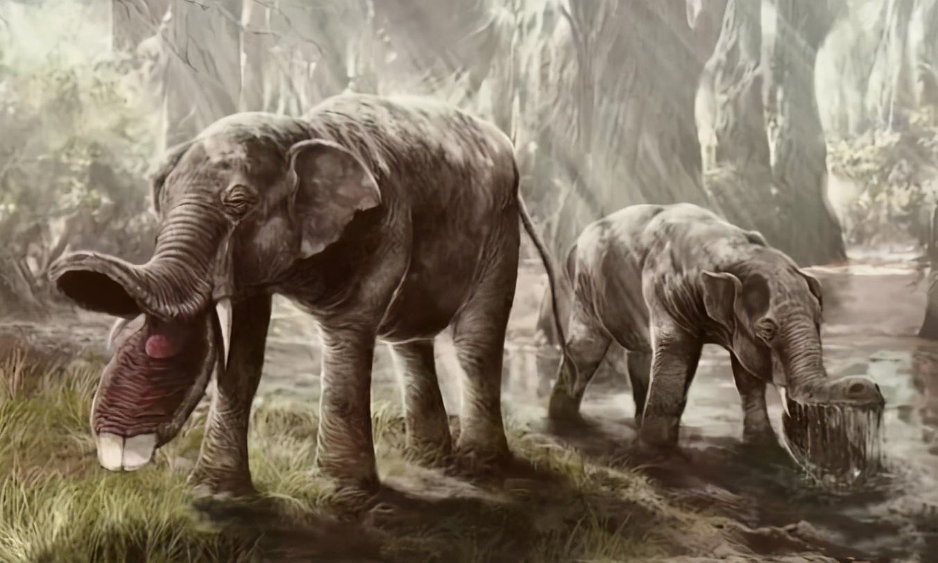 假如大象早已灭绝，科学家通过化石复原的大象会是什么模样？