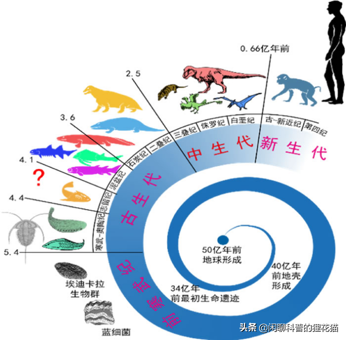史前海洋十大巨兽：盘点世界十大史前海洋怪物