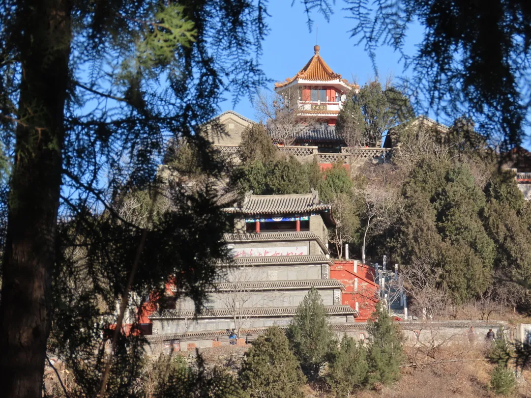 静美如诗，鸟鹊鸣啭，尽赏北京百望山冬日画卷~