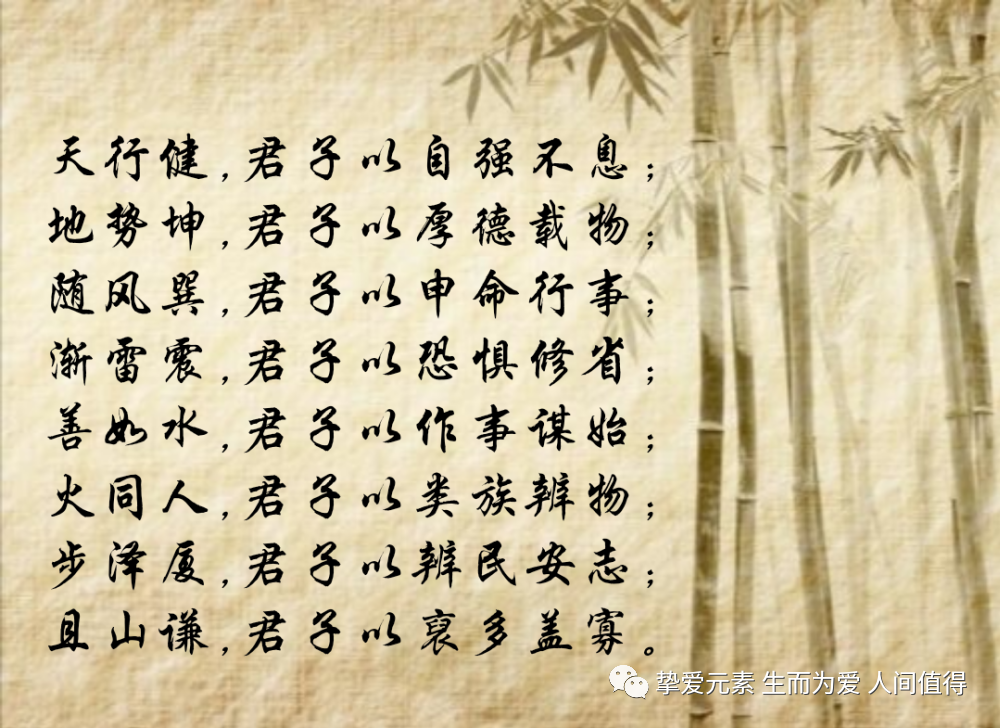 原来爱因斯坦和杨振宁才是最了解老子《道德经》的人