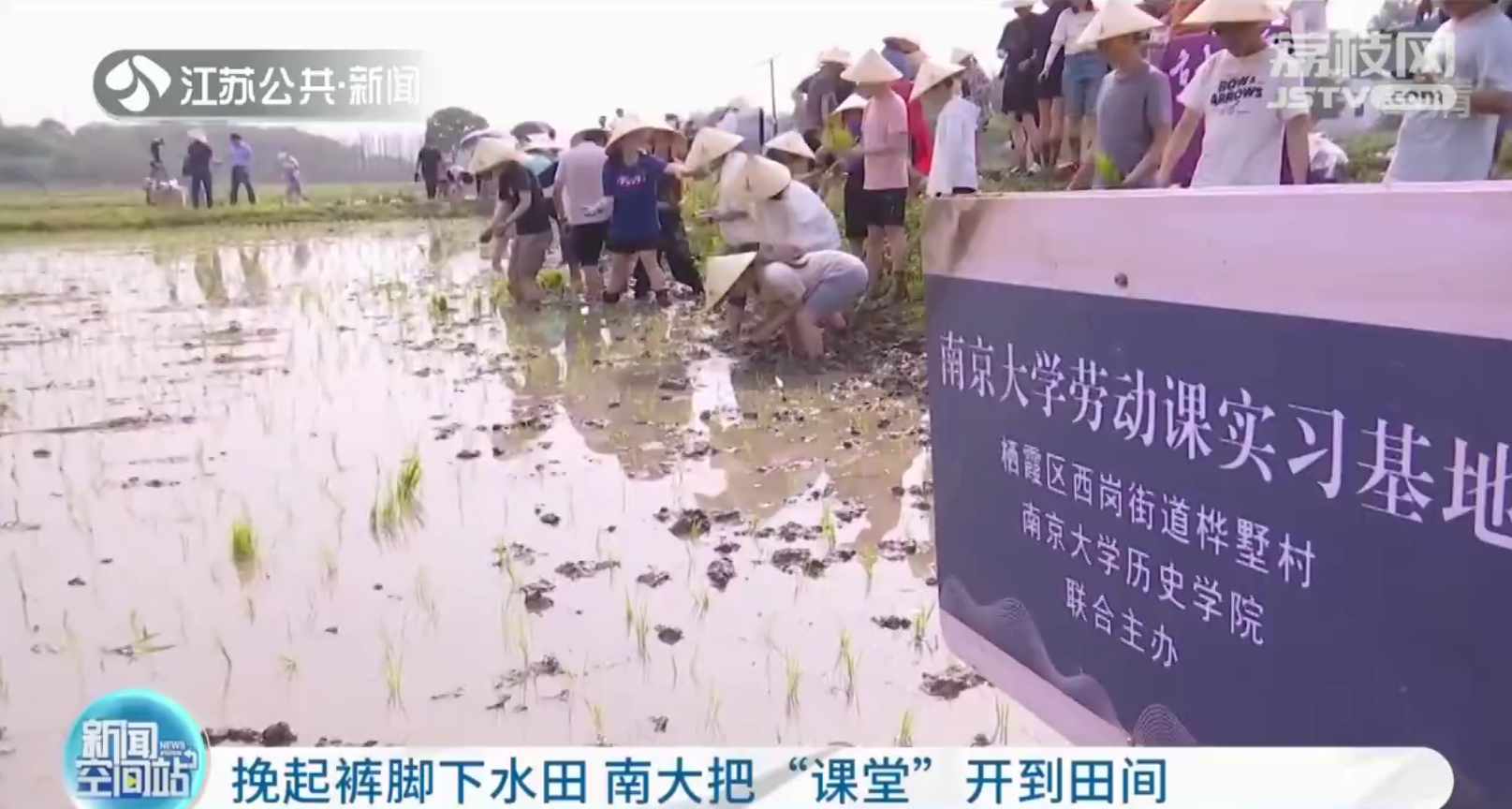 大学师生下田插秧！南京大学历史学院把课堂开到田间