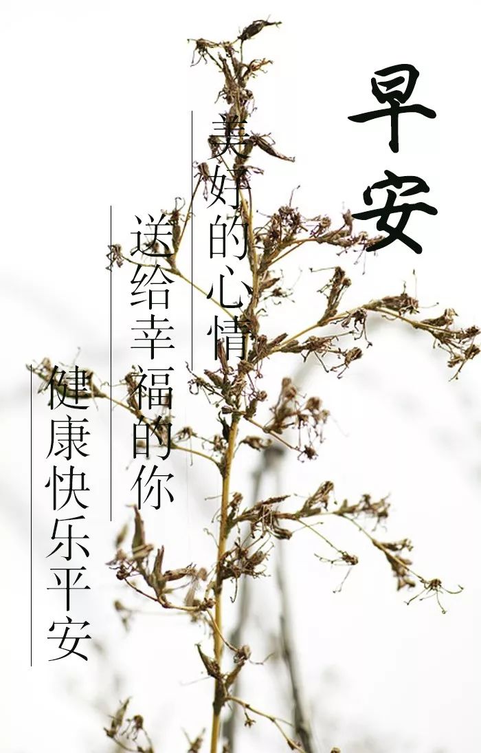 朋友圈早上好，祝福问候，一切安好，人生五福送给你图片