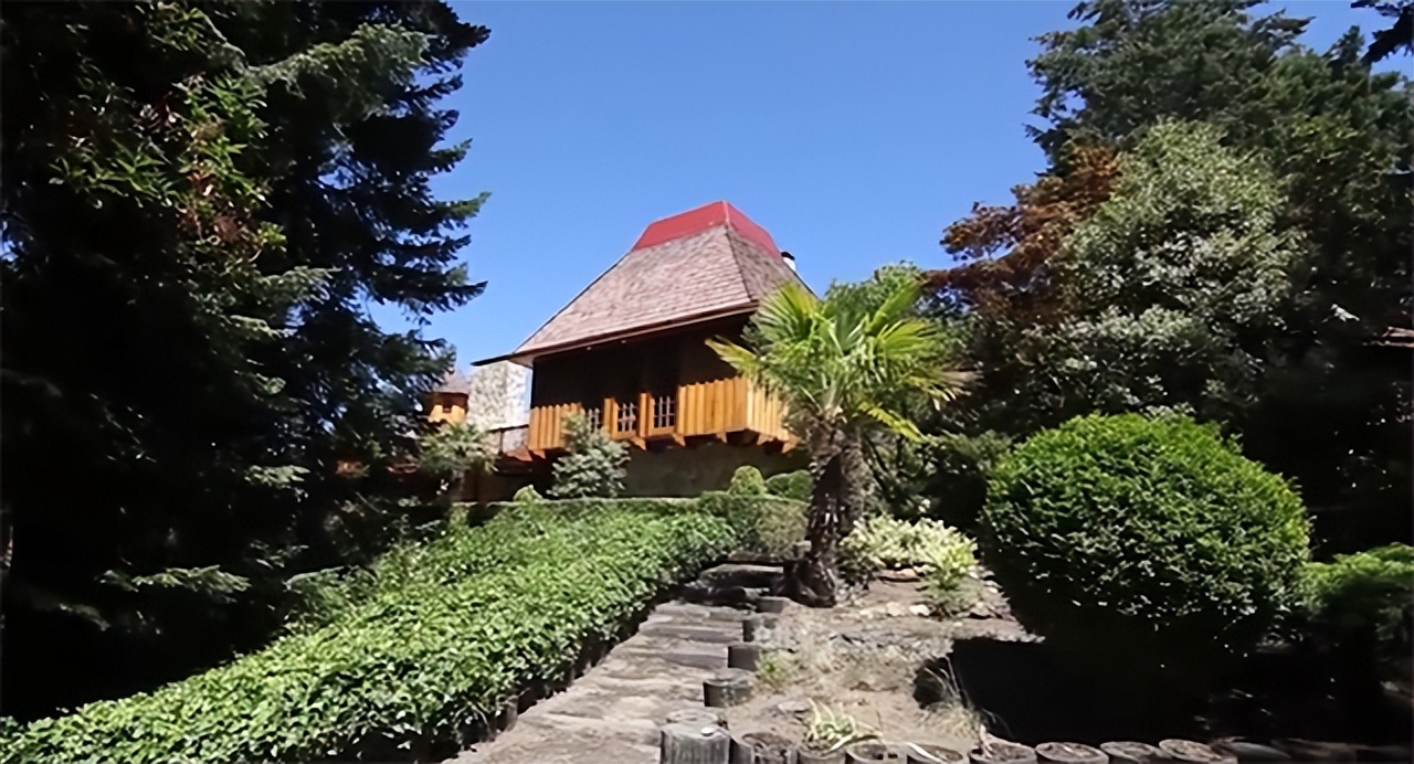 2015年华人富豪苑刚被害案：死后7个孩子来认父，其中5个为亲生