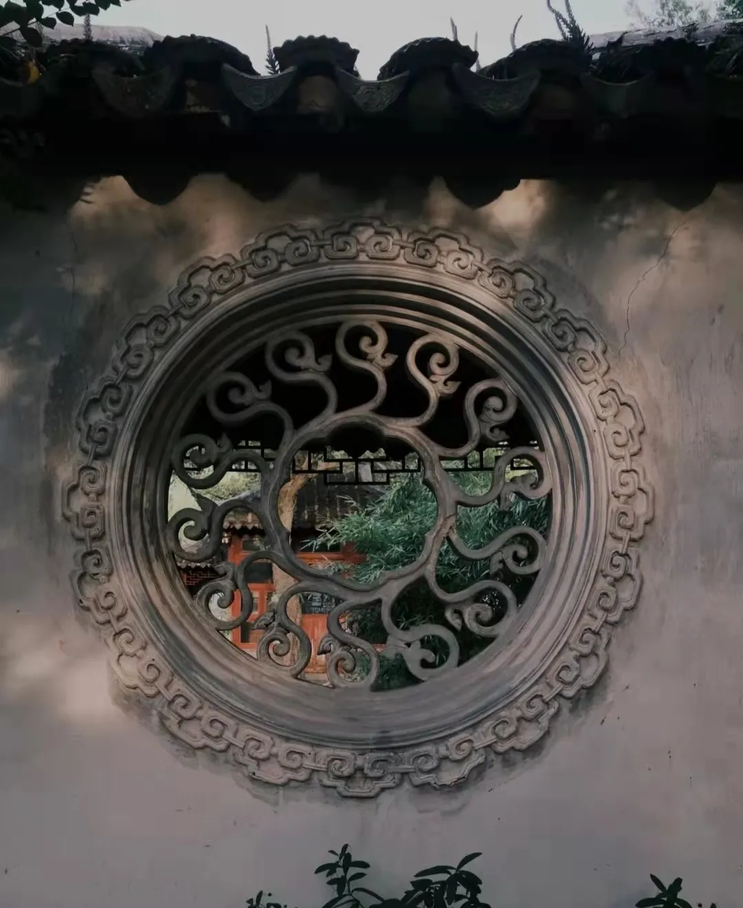 苏州园林特辑 | 待春暖花开之时，相约绝色江南，来一场寻梦之旅