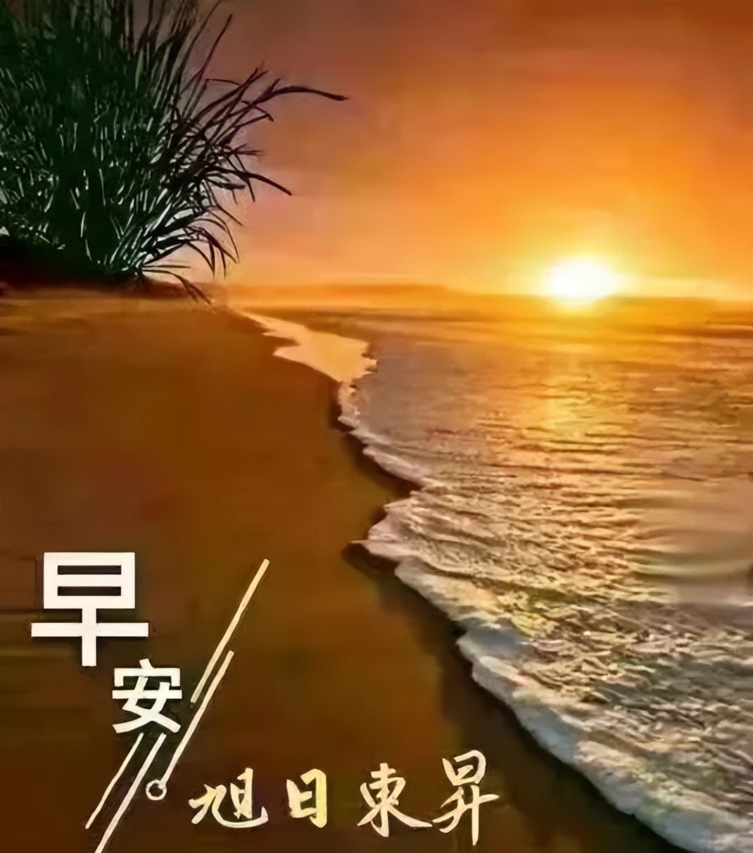 周五清晨道声早上好，真切问候，深深祝福，祝福好友好心情好运气图片