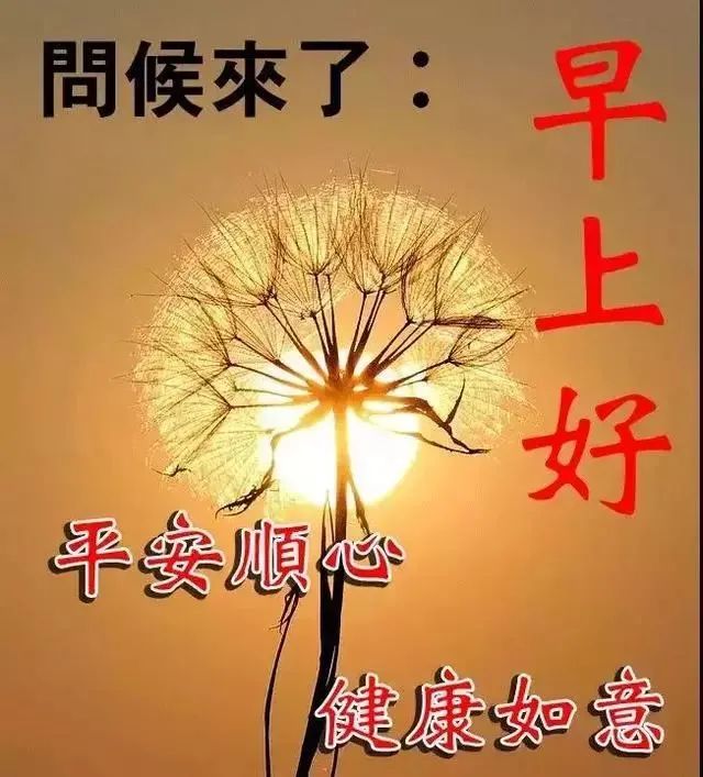 2022早上好问候语最新动态祝福图片 清晨阳光照在身 祝你幸福又平安图片