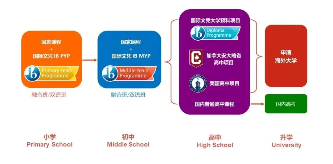 美高+AP、A Level，如何确定哪个课程更适合孩子？