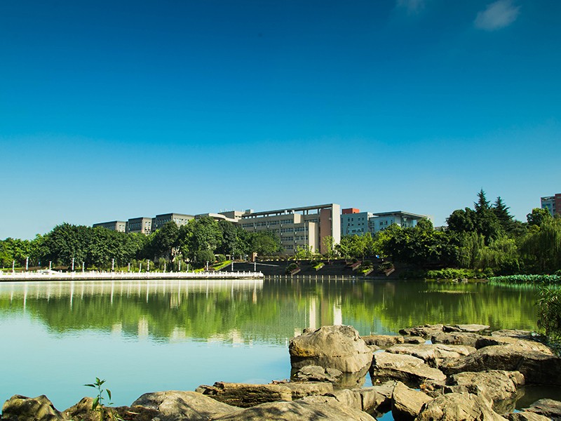 人工智能+法律！重庆一高校在全国率先增设