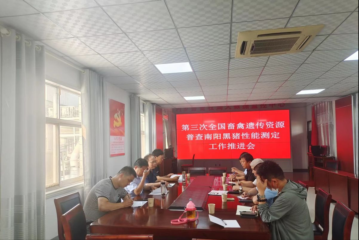 河南內鄉(xiāng)：“四好”標準強力推進南陽黑豬性能測定工作