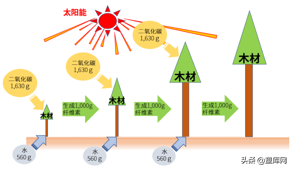 对环境友好的生物基材料PLASTRON®LFT长纤维素纤维增强热塑性树脂