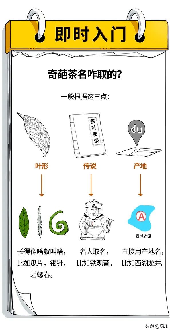 一口氣搞懂中國十大名茶：五花八門的茶名，都是咋取的？