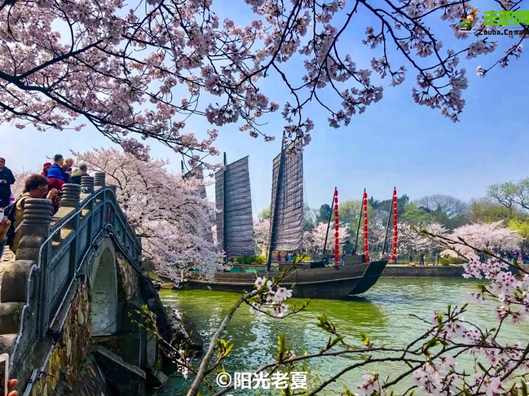 快开啦！这些地方的春景正在悄悄席卷全国，大气又美丽，别错过