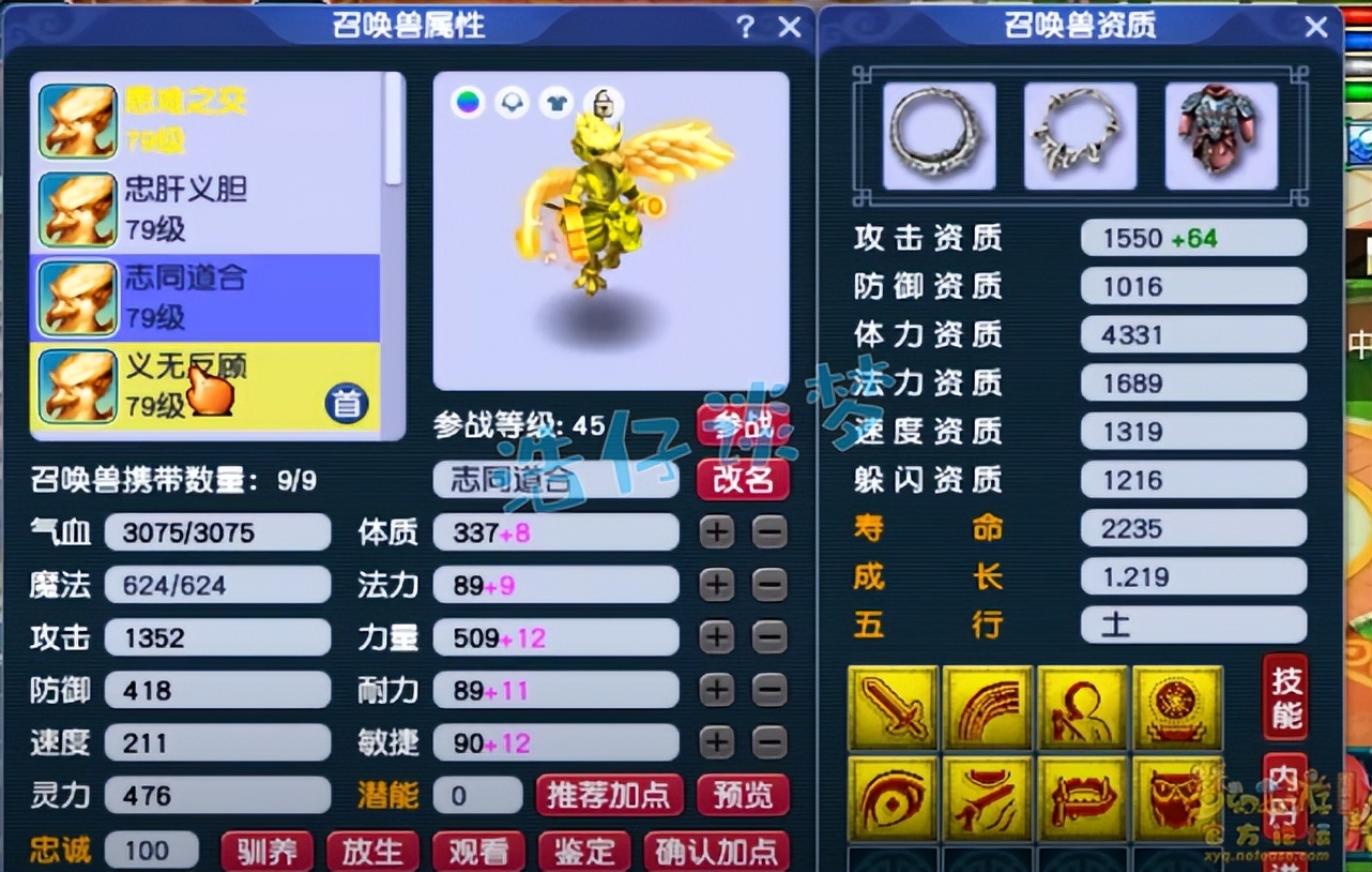 梦幻西游69状元花果山5件无级别4只净台宠各种细节很完美