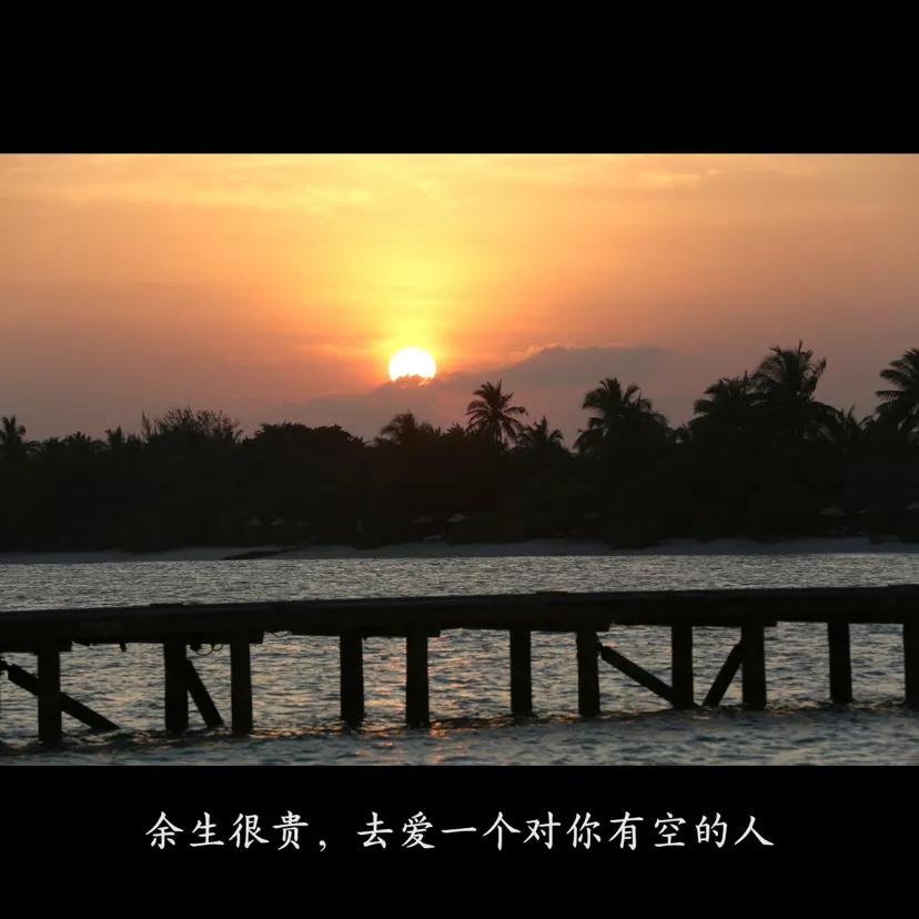 你陪着我的时候,我从未羡慕过任何人!(句子摘抄)