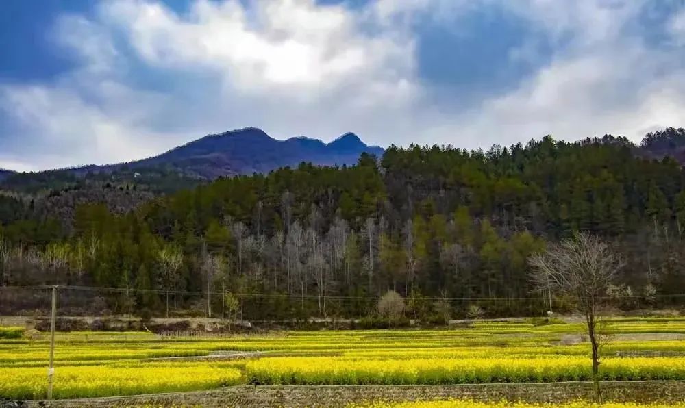 春日里的傳奇古鎮(zhèn)，藏著您心中的詩(shī)與遠(yuǎn)方~