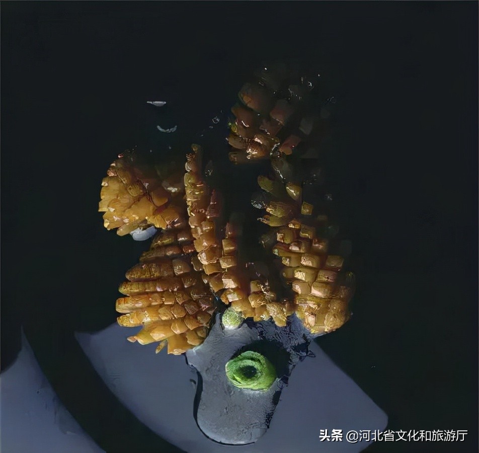 德国摄影师拍摄的80年代中国美食